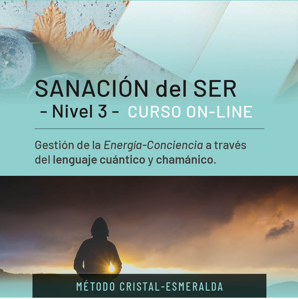 CURSO-SANCION-SER-N3-online